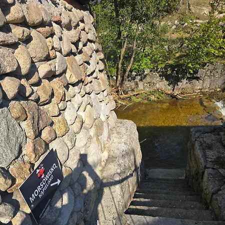 Osrodek Wczasowy Zielona *